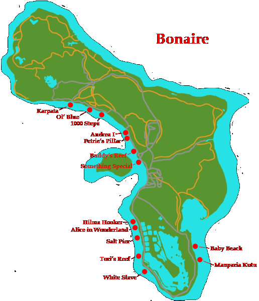Explore the Bonaire island!